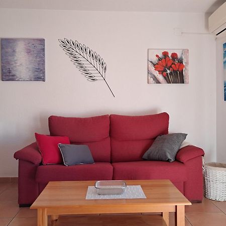 Amplio Y Agradable Apartamento Wifi Gratis 토록스 외부 사진